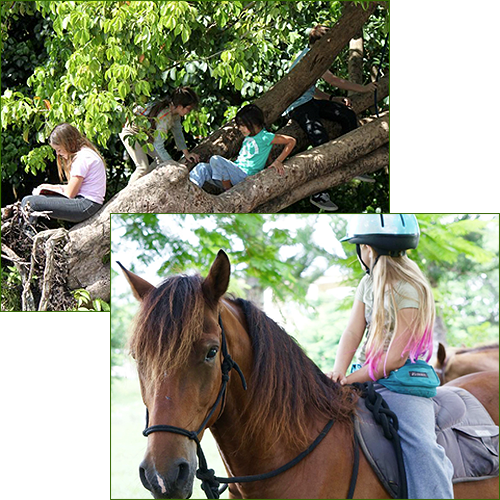 Bar-B Ranch Day and Summer Camp